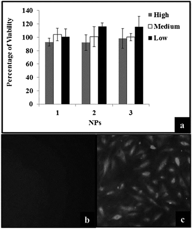 image file: c4ra00331d-f6.tif