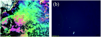 image file: c4ra00556b-f6.tif