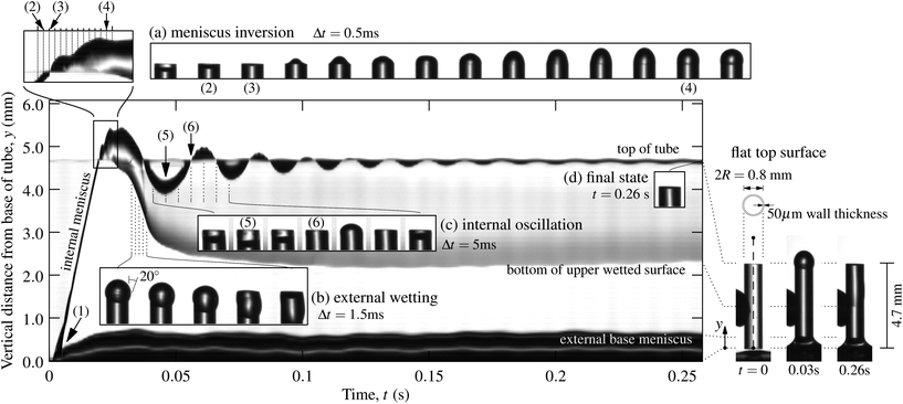 image file: c4ra00580e-f2.tif