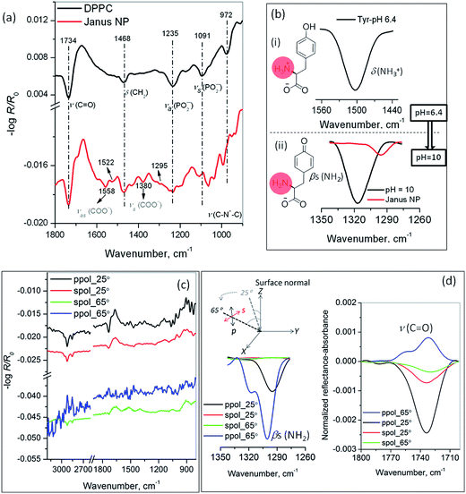 image file: c4ra01869a-f3.tif
