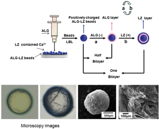 image file: c4ra02780a-s1.tif