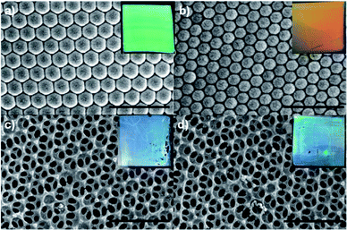 image file: c4ra03013c-f2.tif