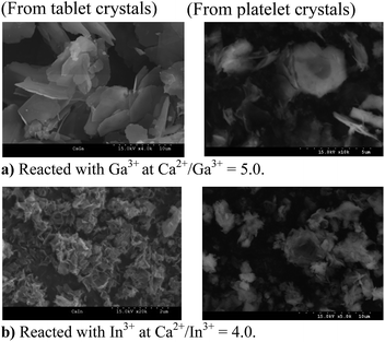 image file: c4ra03083d-f6.tif