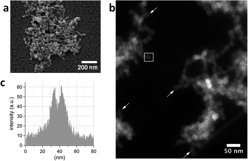 image file: c4ra03252g-f5.tif