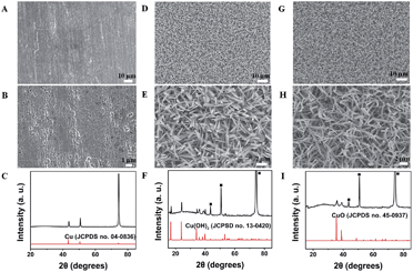 image file: c4ra03437f-f1.tif