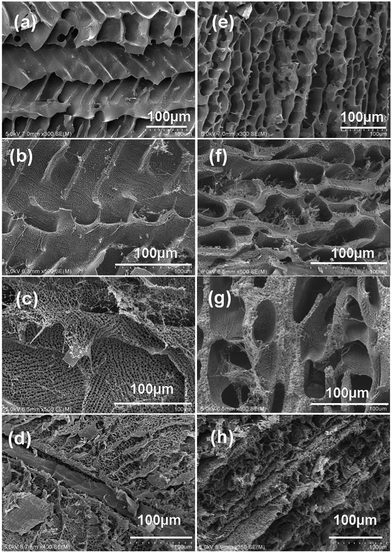 image file: c4ra03472d-f2.tif