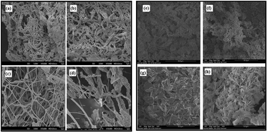 image file: c4ra03754e-f2.tif