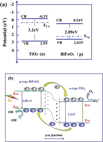 image file: c4ra04258a-s1.tif