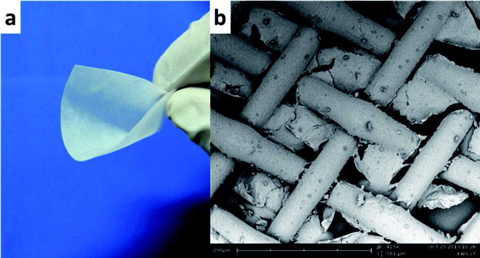 A fast and convenient cellulose hydrogel-coated colander for high
