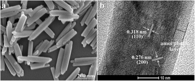 image file: c4ra04709e-f2.tif