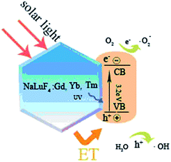 image file: c4ra05575f-f13.tif