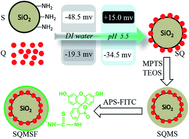 image file: c4ra05897f-s1.tif