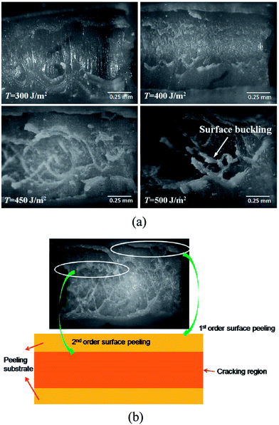 image file: c4ra06518b-f9.tif