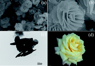 image file: c4ra07049f-f2.tif