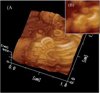 image file: c4ra07683d-f7.tif