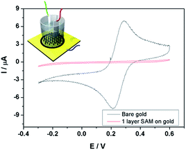 image file: c4ra07868c-f1.tif