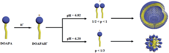 image file: c4ra08004a-s2.tif