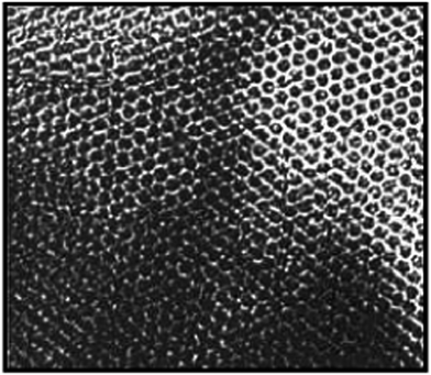 image file: c4ra08005j-f7.tif