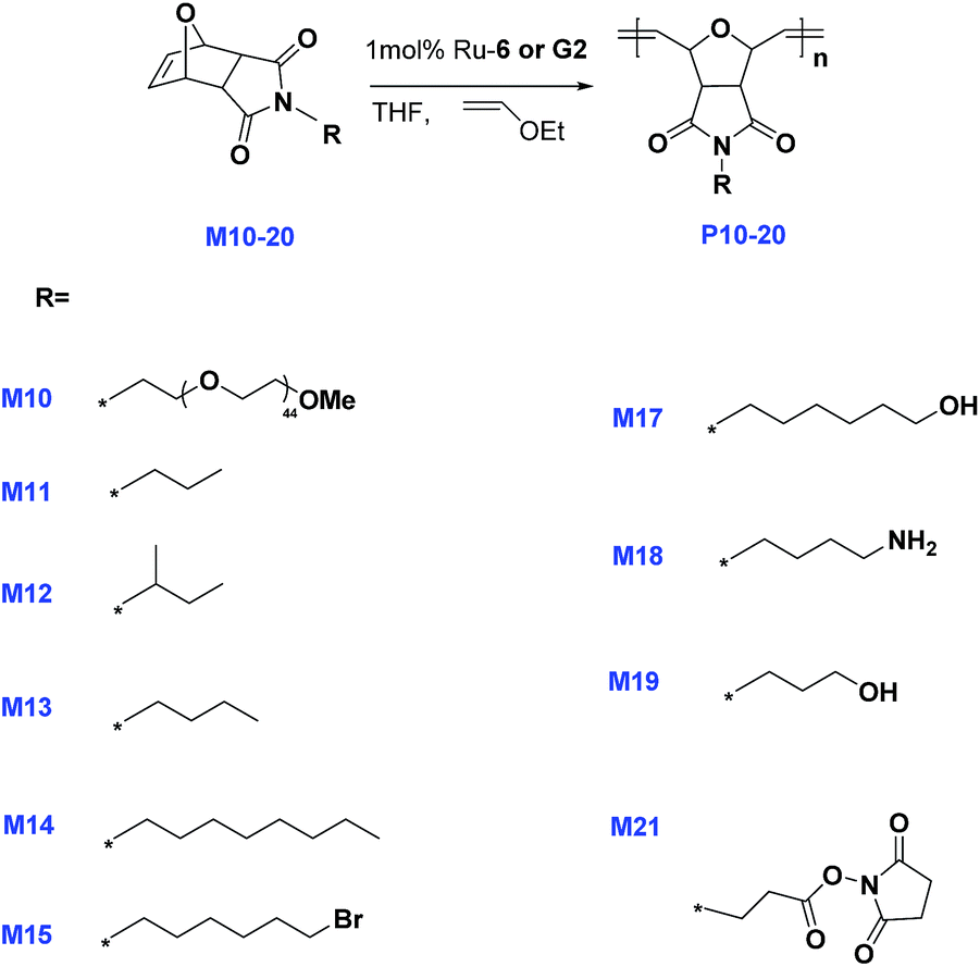 Ring-opening metathesis polymerization using polyisobutylene supported ...