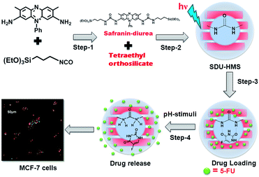 image file: c4ra08204d-s1.tif