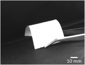 image file: c4ra08777a-f1.tif