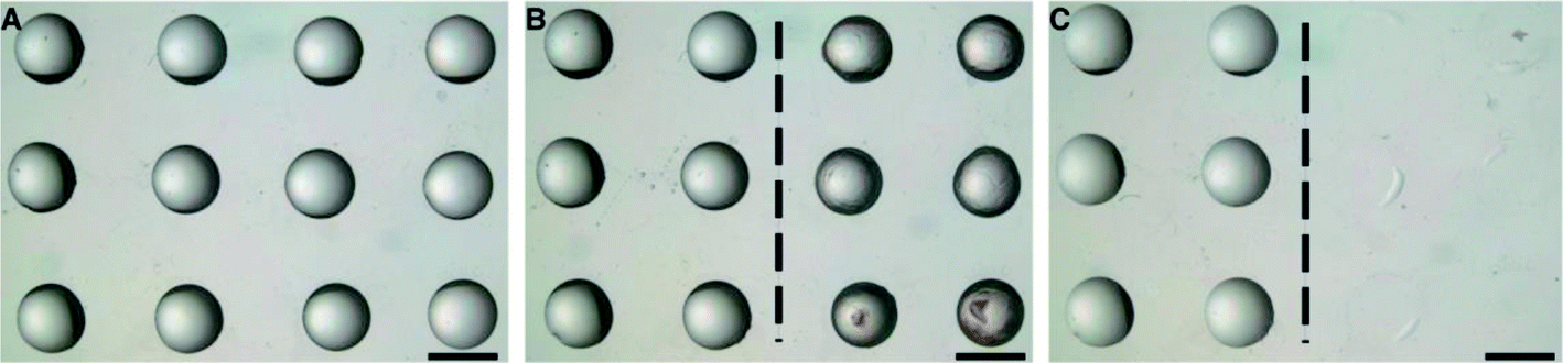 air force depth perception test