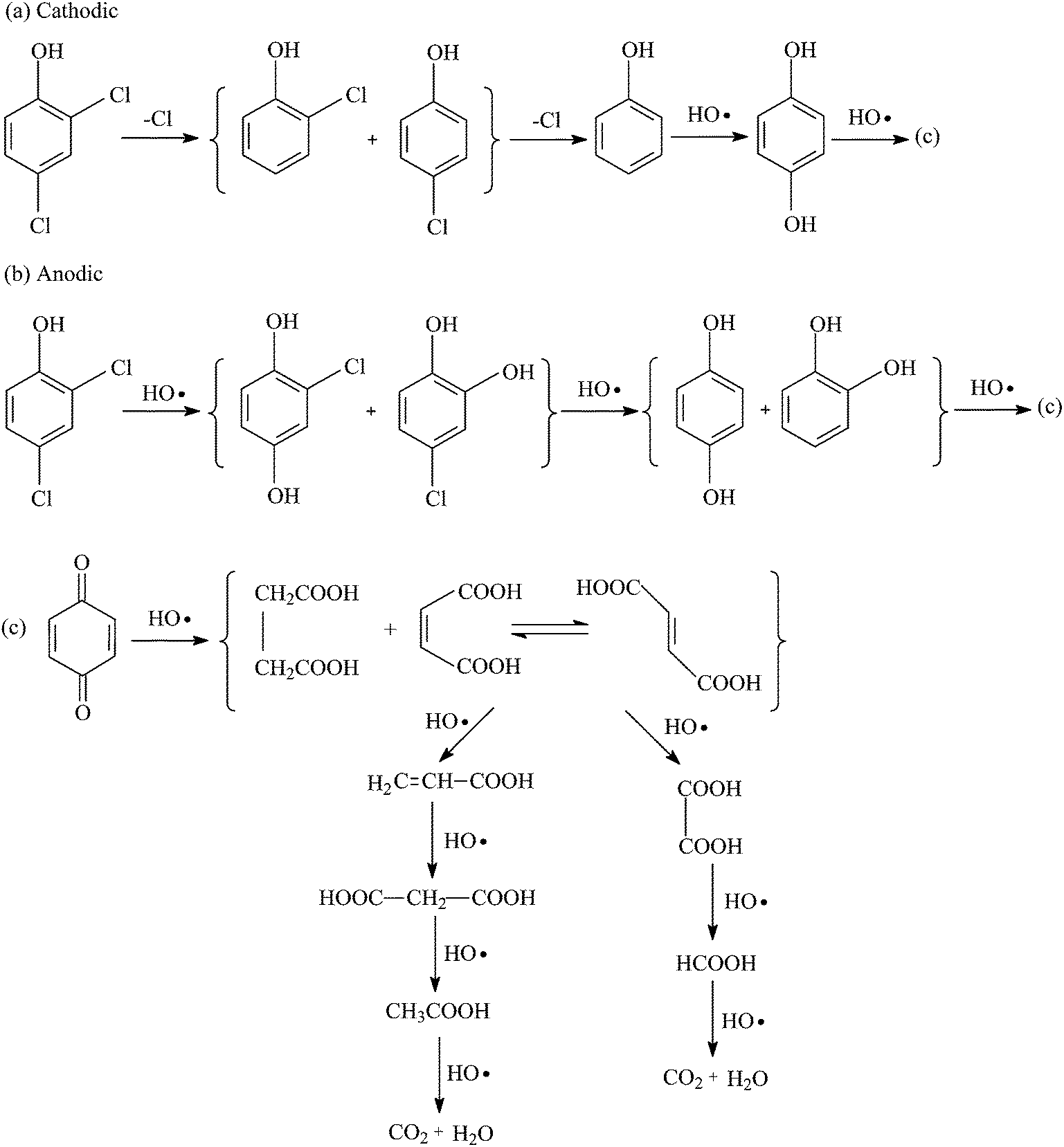 Electrocatalytic degradation of 2,4-dichlorophenol using a Pd 