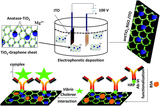 image file: c4ra09265a-s1.tif