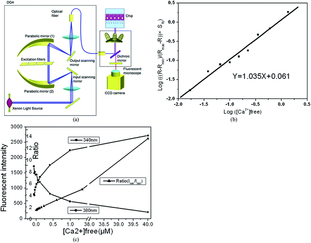 image file: c4ra09370d-f2.tif