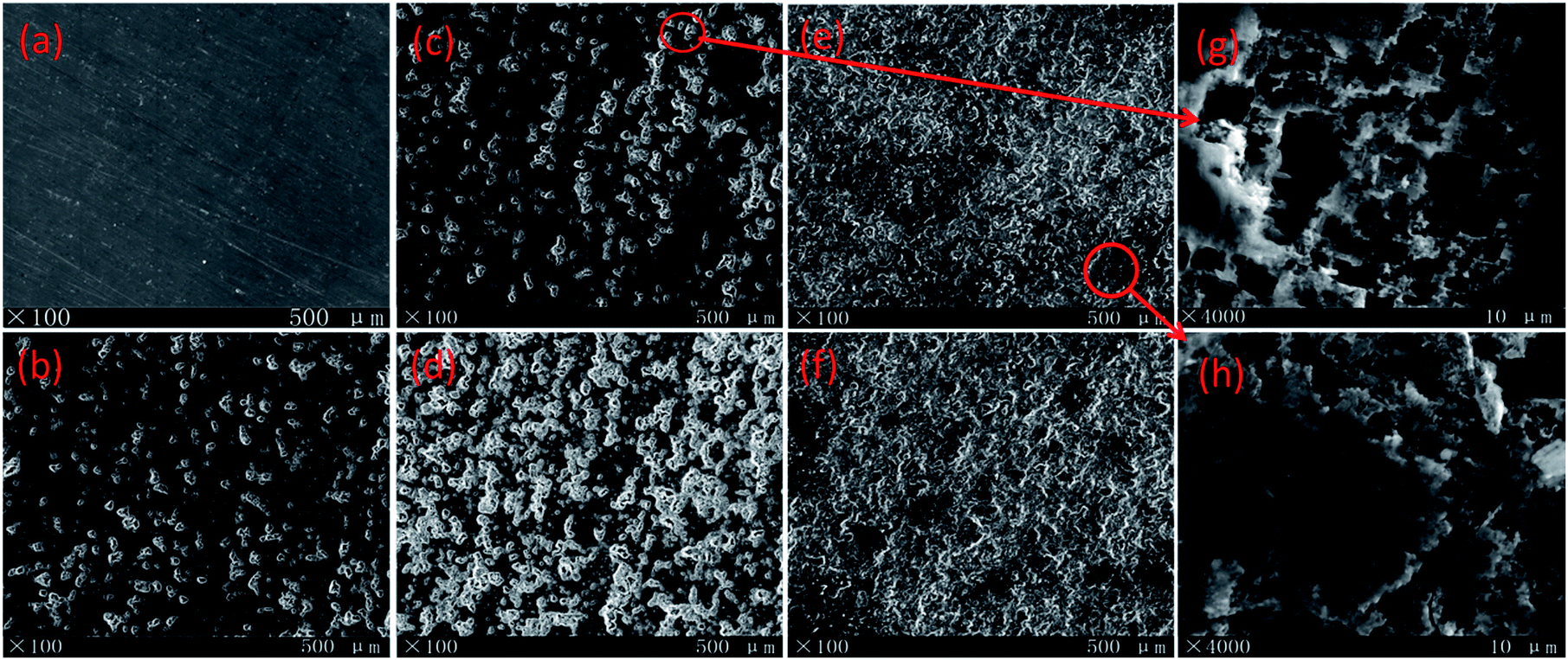 Achieving Excellent Anti Corrosion And Tribological Performance By Tailoring The Surface Morphology And Chemical Composition Of Aluminum Alloys Rsc Advances Rsc Publishing Doi 10 1039 C4raj