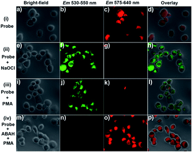 image file: c4ra10633d-f6.tif