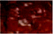 image file: c4ra10657a-u15.tif