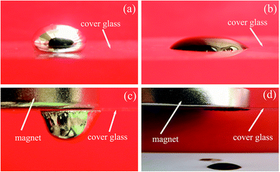 image file: c4ra12481b-f8.tif