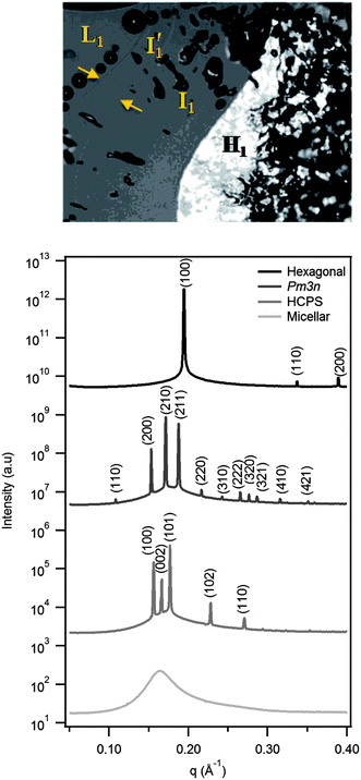 image file: c3sm52339j-f2.tif