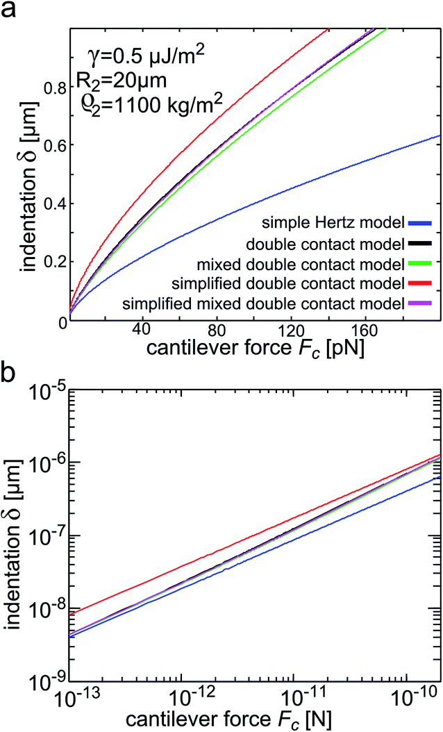 A novel contact model for AFM indentation experiments on soft