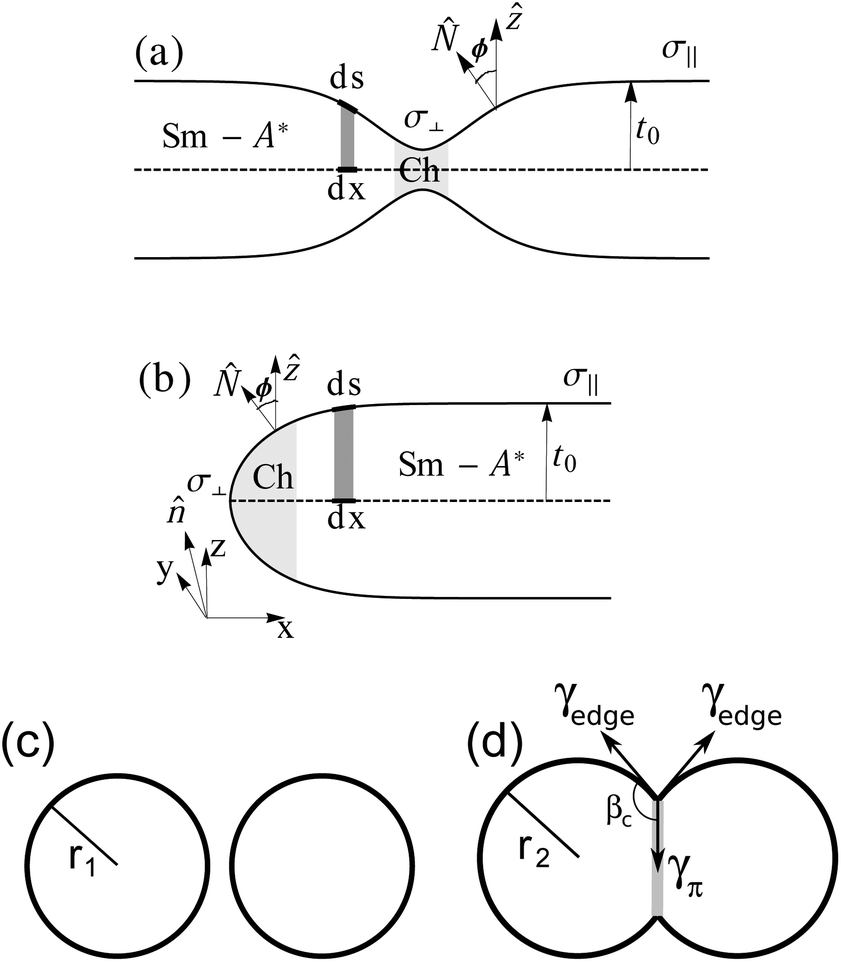 Colloidal membranes of hard rods: unified theory of free edge structure and  twist walls - Soft Matter (RSC Publishing)