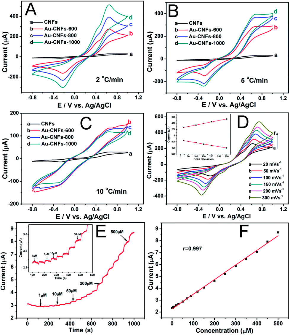 Probing the unexpected behavior of AuNPs migrating through 