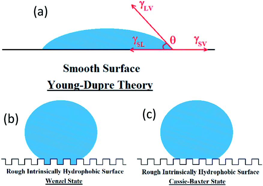 Schematic illustration of the self-cleaning concept. A water droplet