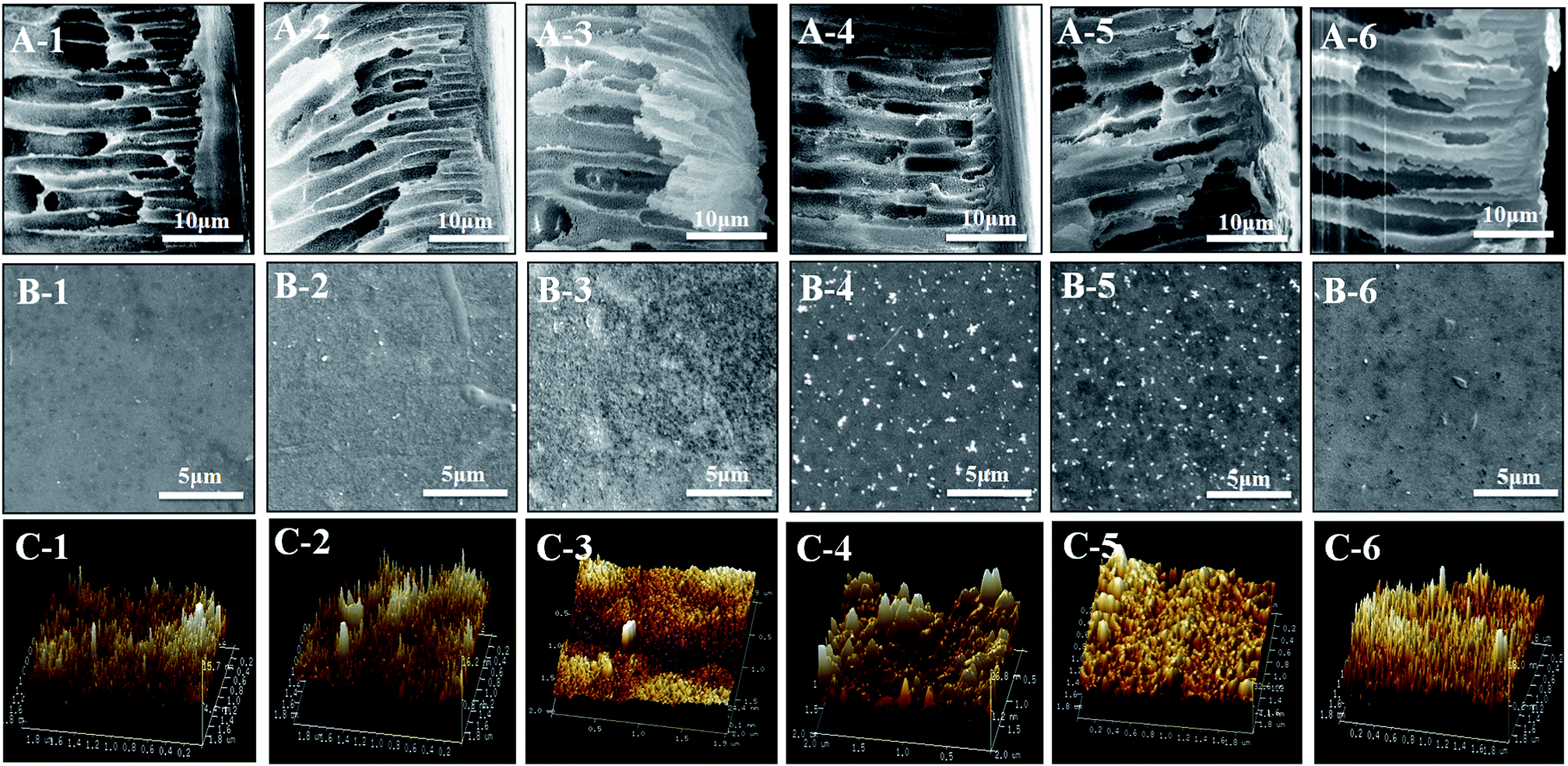 UF membrane with highly improved flux by hydrophilic network 