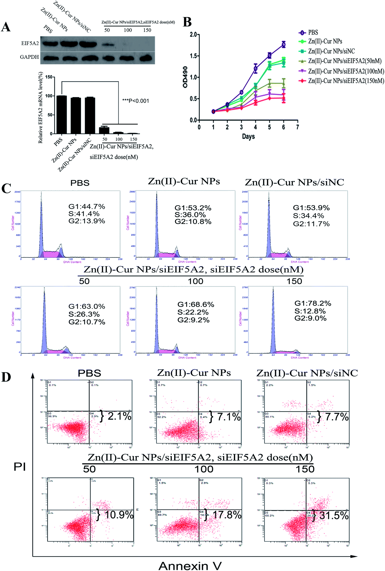 Bifunctional Ph Sensitive Zn Ii Curcumin Nanoparticles Sirna Effectively Inhibit Growth Of Human Bladder Cancer Cells In Vitro And In Vivo Journal Of Materials Chemistry B Rsc Publishing Doi 10 1039 C3tbj