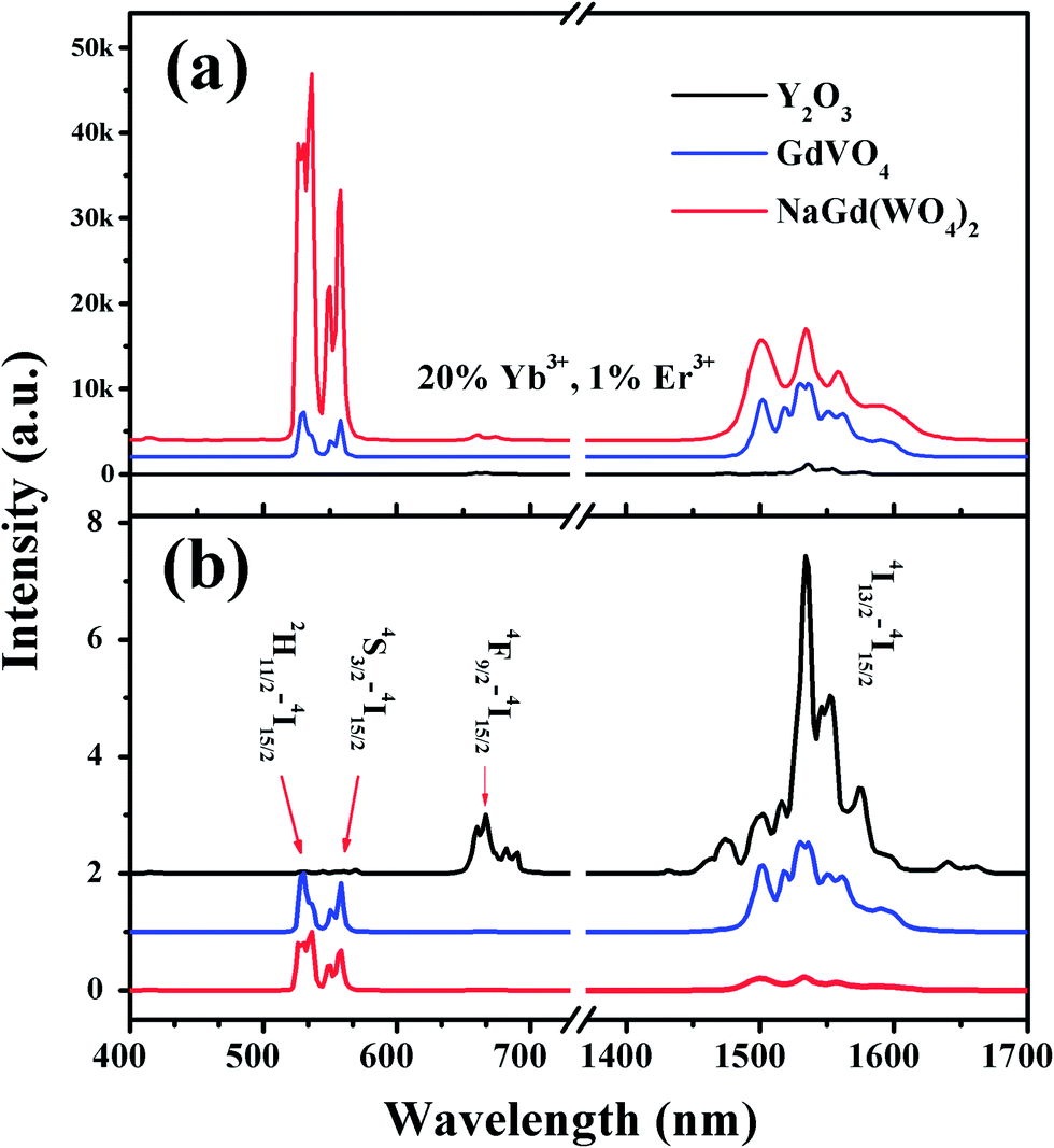 Phonon-modulated upconversion luminescence properties in
