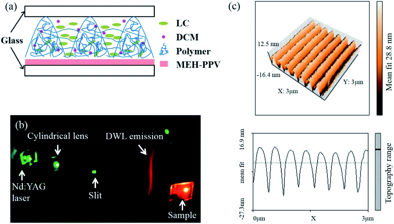 A dual-wavelength surface-emitting distributed feedback laser from a  holographic grating with an organic semiconducting gain and a doped dye -  Journal of Materials Chemistry C (RSC Publishing) DOI:10.1039/C4TC00519H
