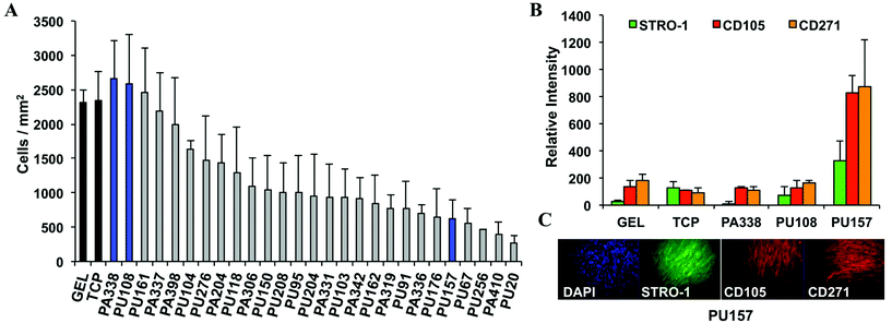 A high-throughput polymer microarray approach for identifying defined ...