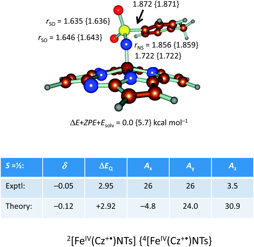 Computational Modelling Of Oxygenation Processes In Enzymes And ...