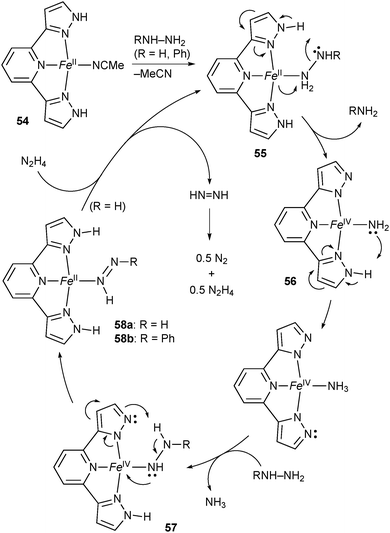 Metal Ligand Bifunctional Reactivity And Catalysis Of Protic N Heterocyclic Carbene And Pyrazole Complexes Featuring B Nh Units Chemical Communications Rsc Publishing