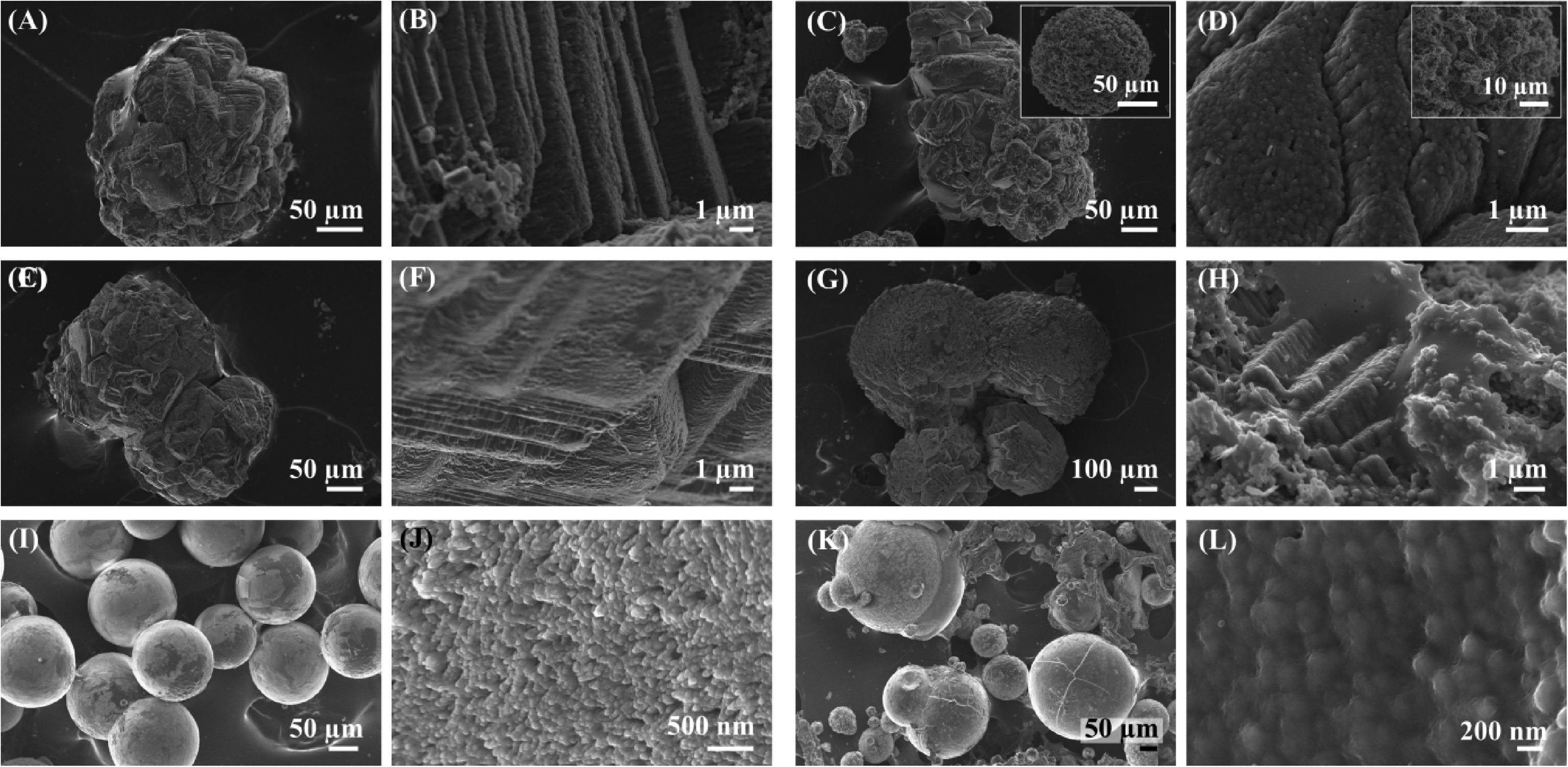 Exploring Coral Biomineralization In Gelling Environments By Means Of A Counter Diffusion System Crystengcomm Rsc Publishing