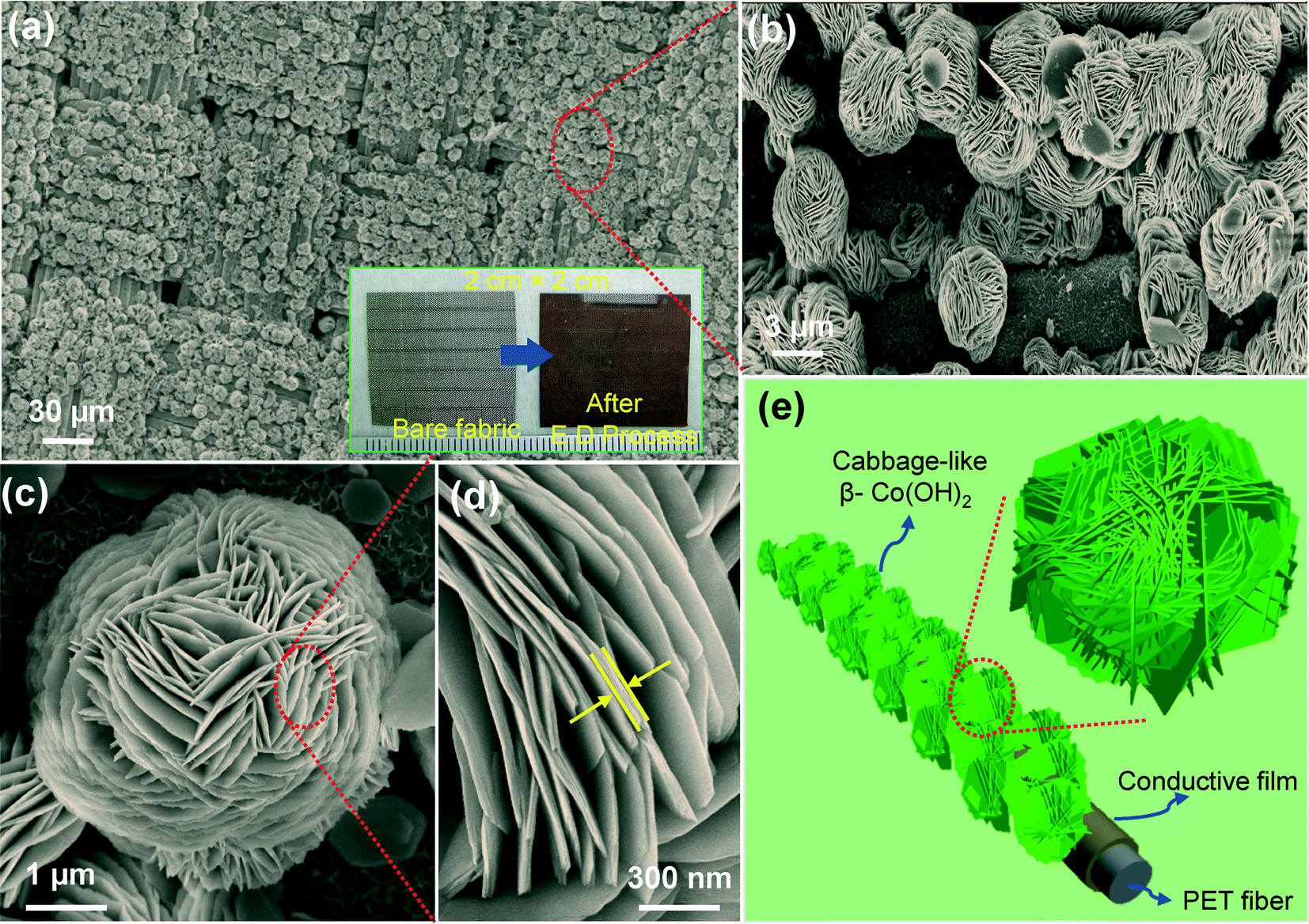 Selfassembled hierarchical βcobalt hydroxide nanostructures on