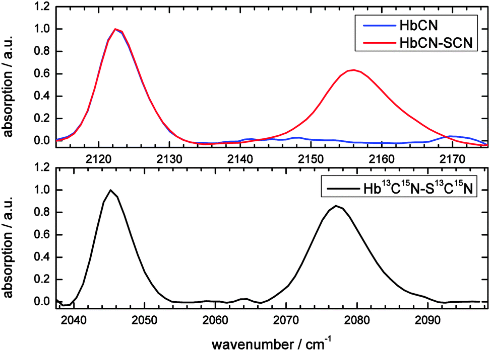 Vibrational Dynamics And Solvatochromism Of The Label Scn In Various Solvents And Hemoglobin By 5540