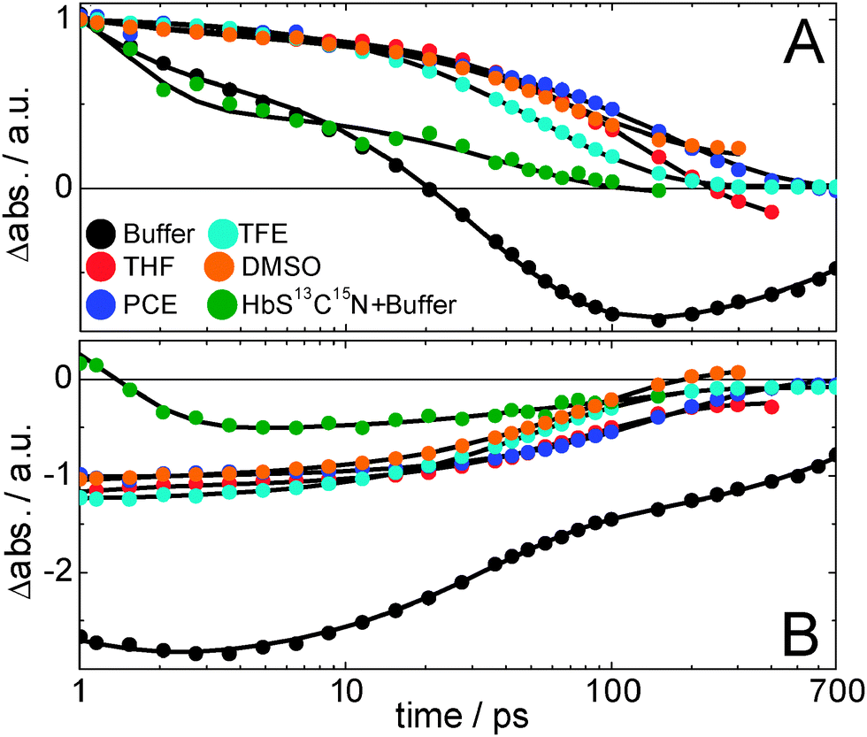 Vibrational Dynamics And Solvatochromism Of The Label Scn In Various Solvents And Hemoglobin By 1008