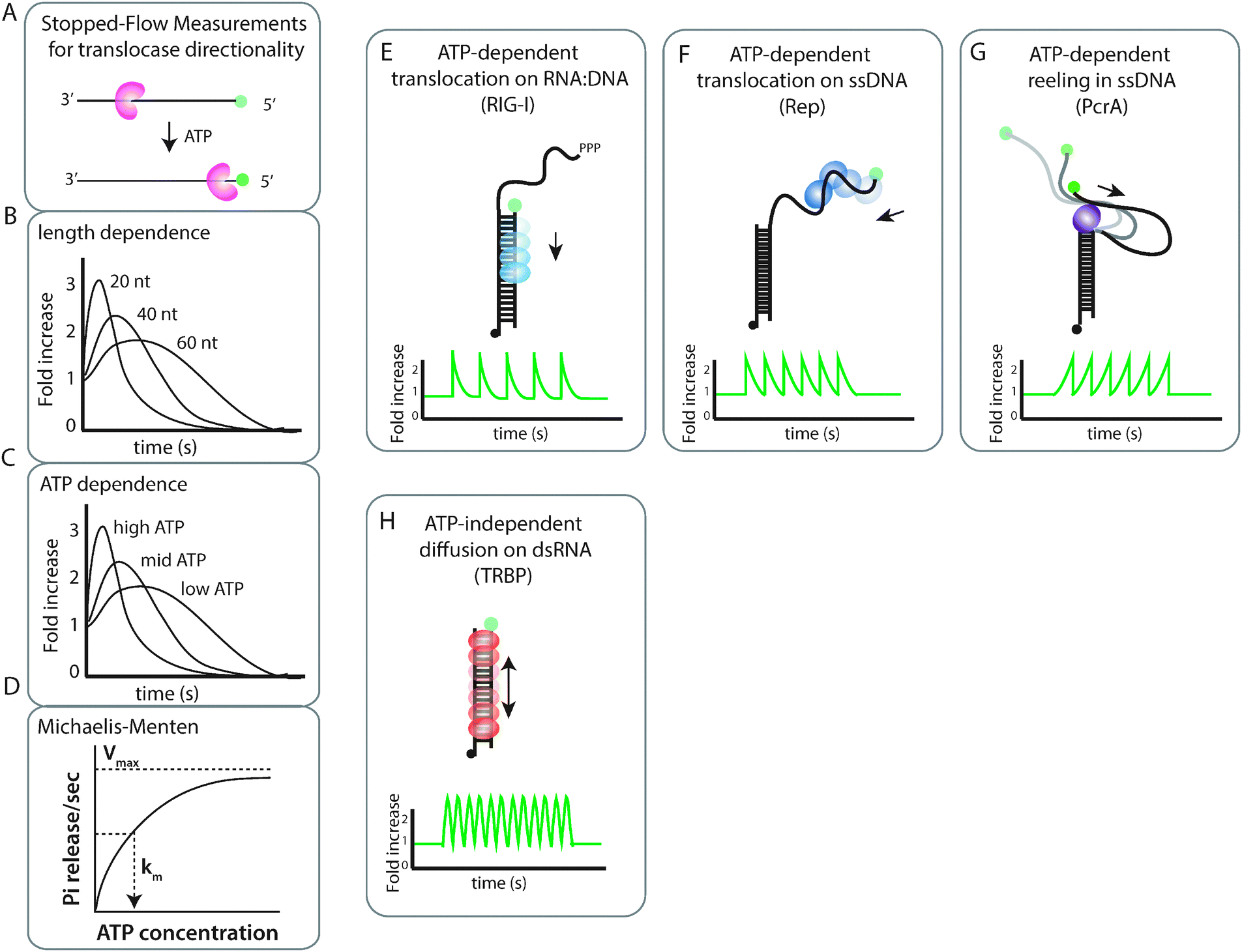 Protein Induced Fluorescence Enhancement Pife For Probing Protein Nucleic Acid Interactions Chemical Society Reviews Rsc Publishing